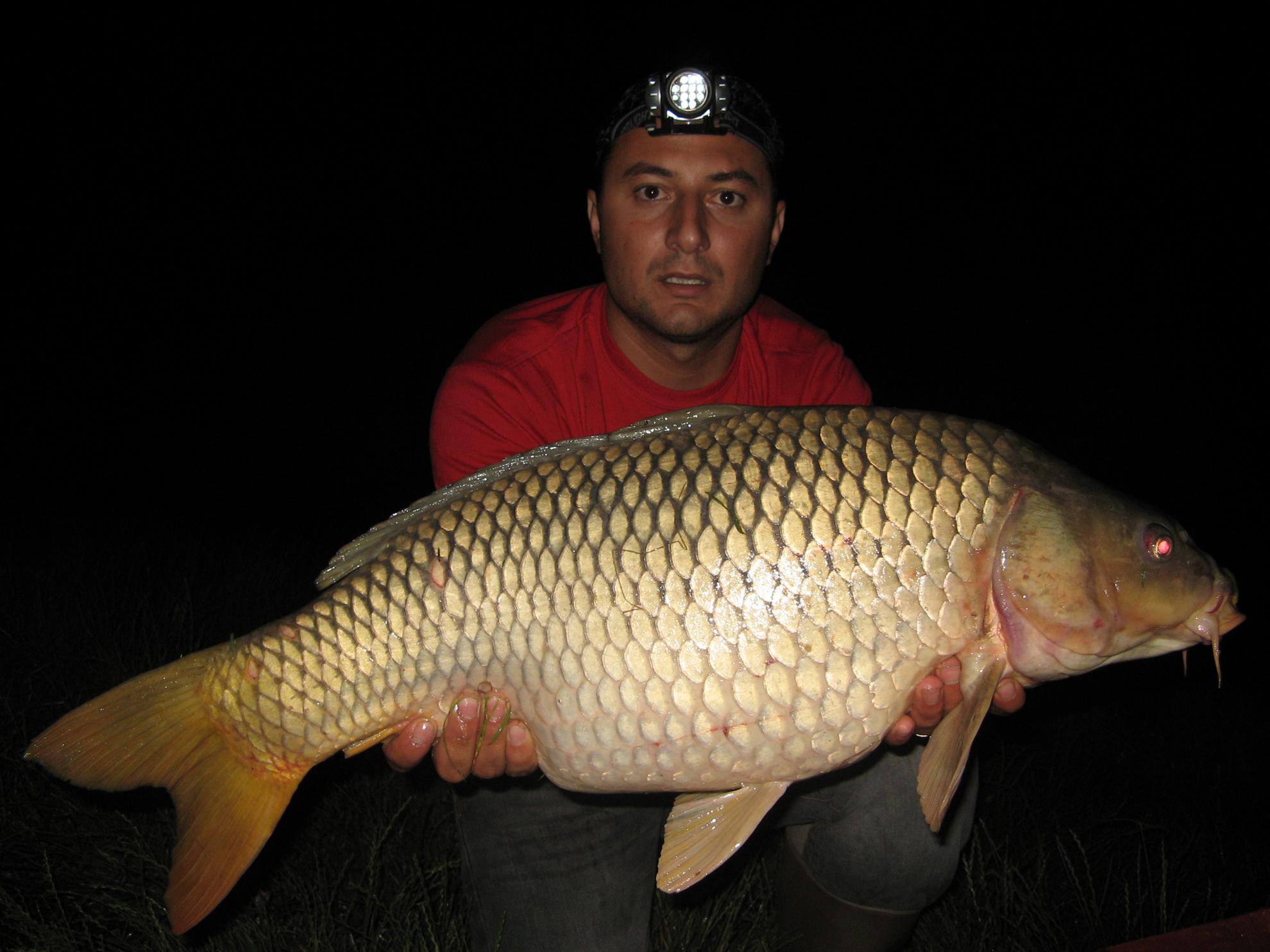 Moara Vlasiei - img5993.JPG